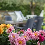Historic With Swimming Pool Near Lucca *