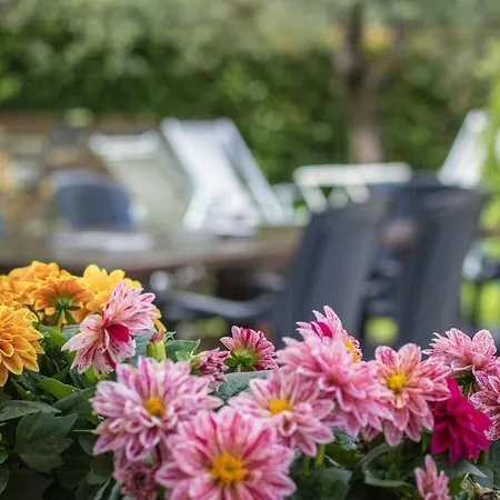 Historic With Swimming Pool Near Lucca *